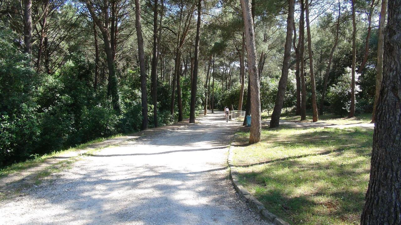 Apartments Amalia Rovinj Exterior photo